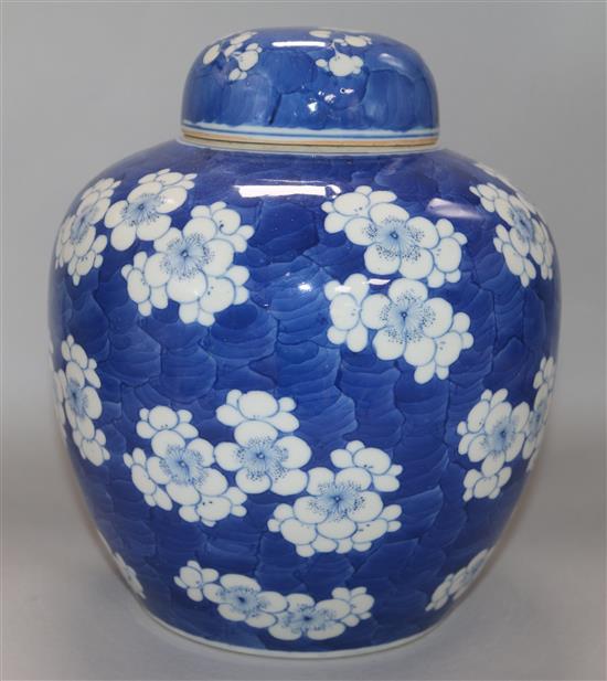 A Chinese blue and white ginger jar and cover H.25cm